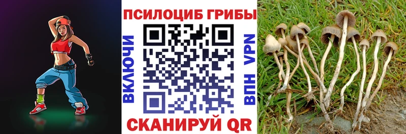 нарко площадка Telegram  Лосино-Петровский  Галлюциногенные грибы ЛСД 