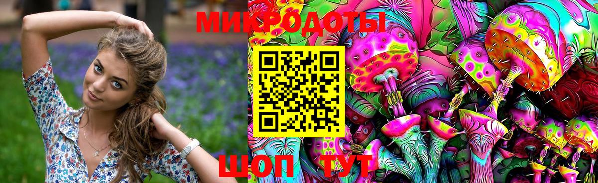 Псилоцибиновые грибы Psilocybine cubensis Лосино-Петровский