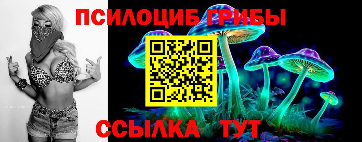 как найти закладки  Псилоцибиновые грибы MAGIC MUSHROOMS  Вход с VPN  Псилоцибиновые грибы GOLDEN TEACHER  Лосино-Петровский 