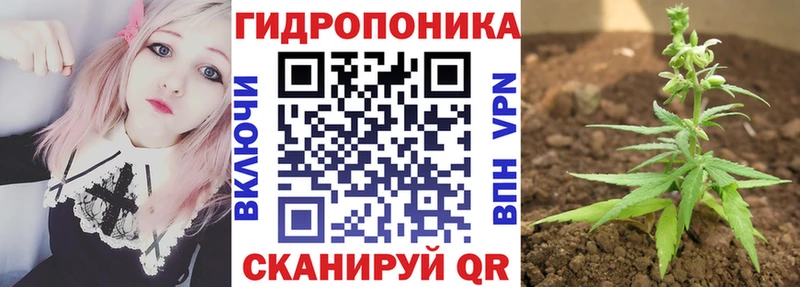 маркетплейс состав  кракен как войти  Лосино-Петровский  Канабис индика 